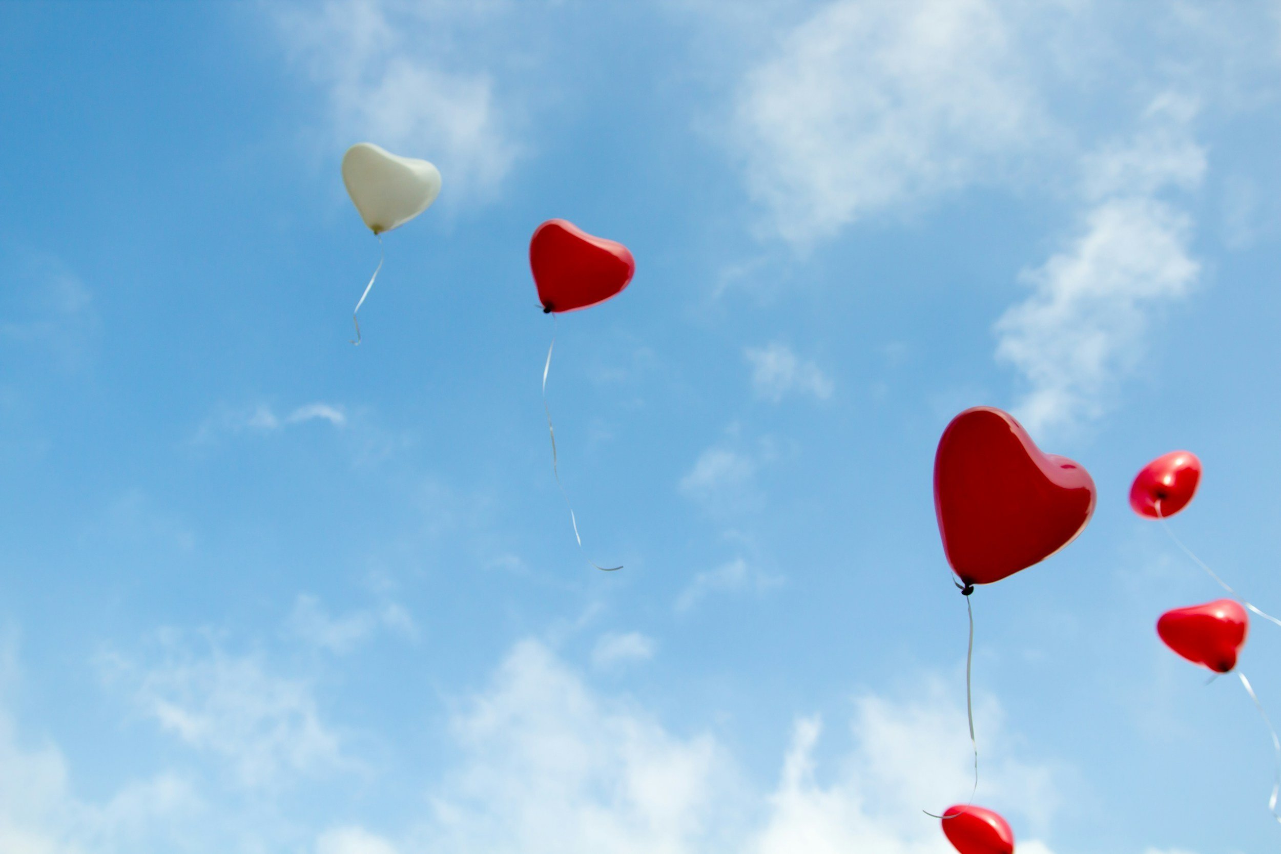 Why Plan A in the Twin Flame Journey is All You Need