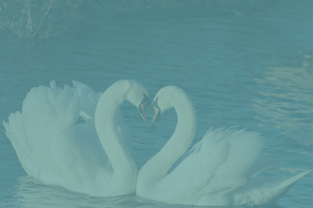 Twin Flame Alchemy Mastermind
